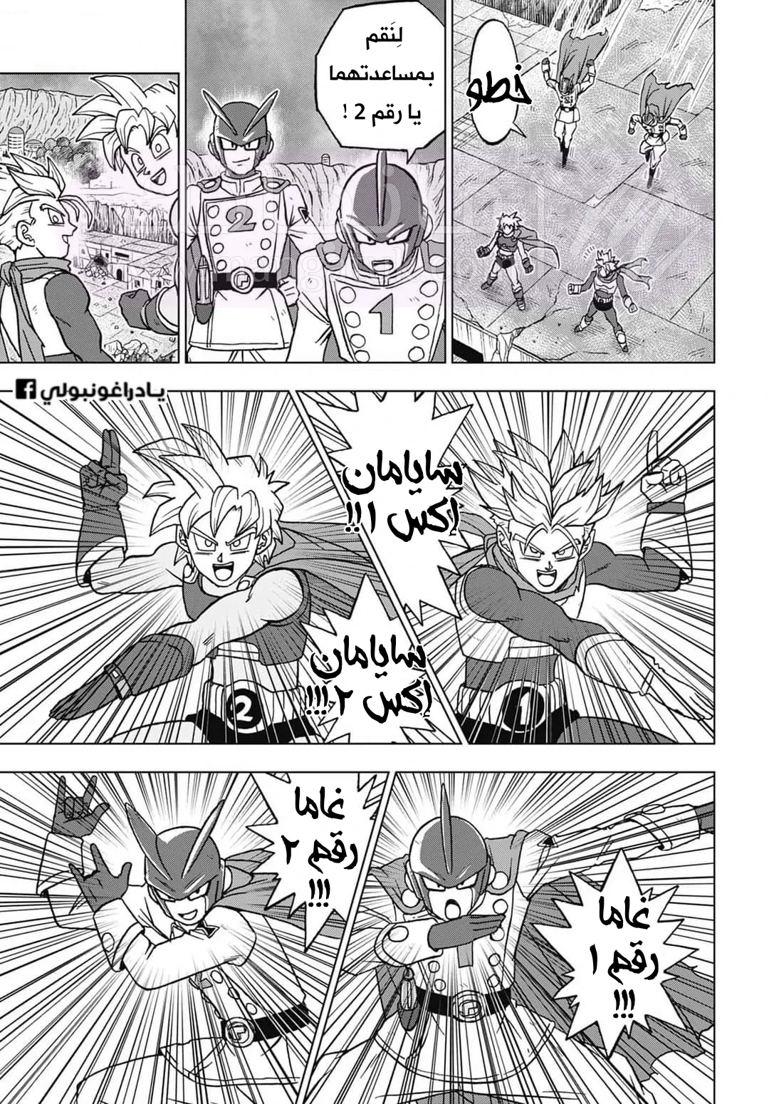 الصفحة 11