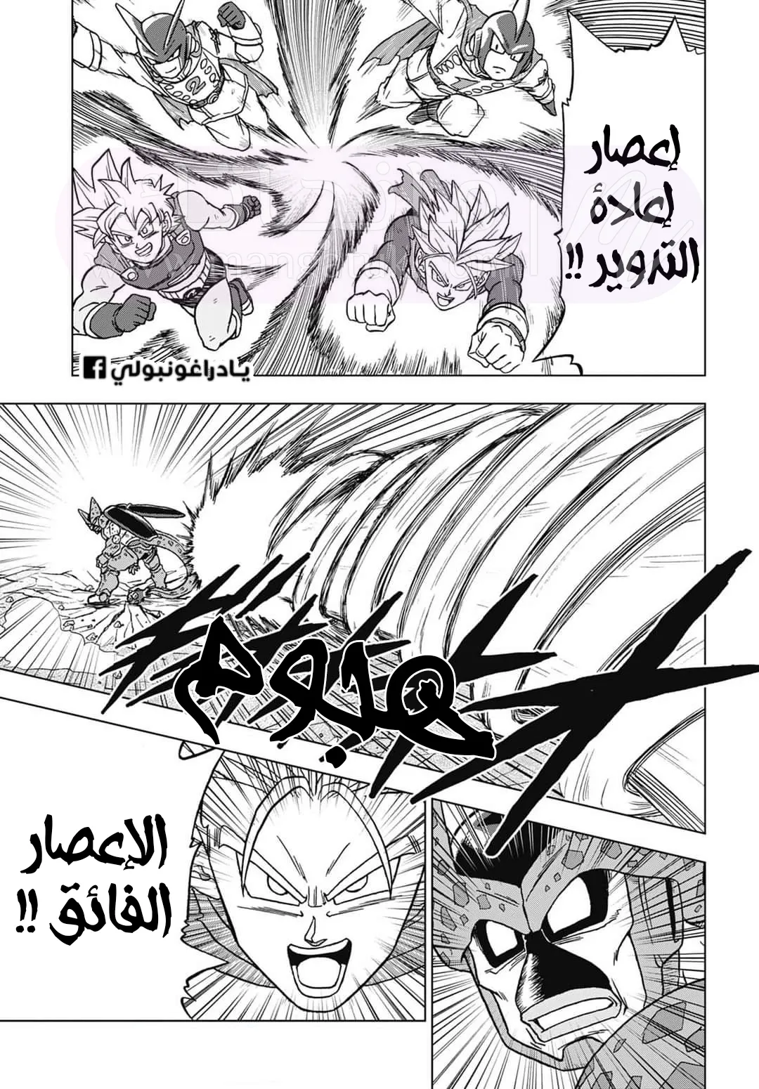 الصفحة 13