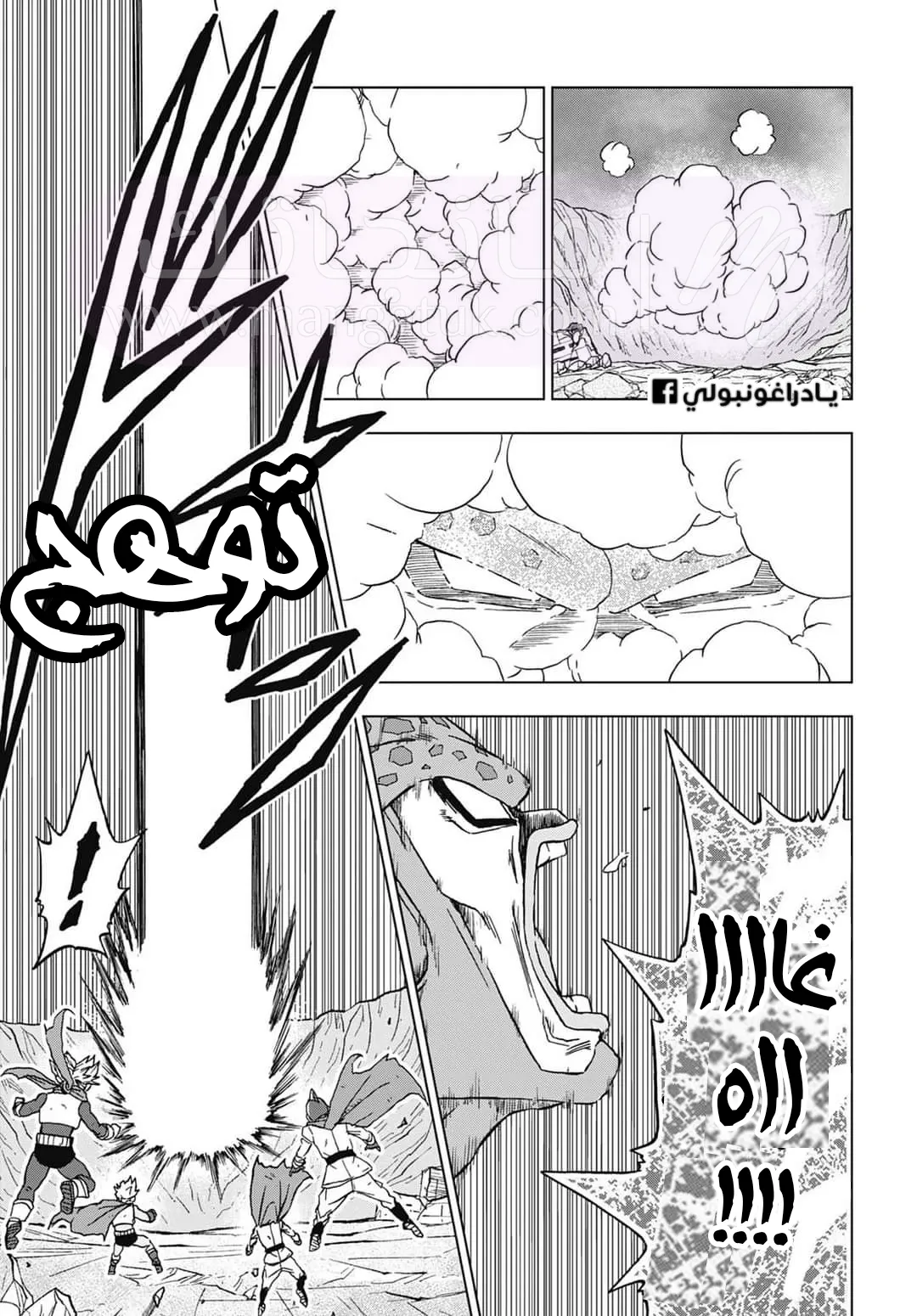 الصفحة 17