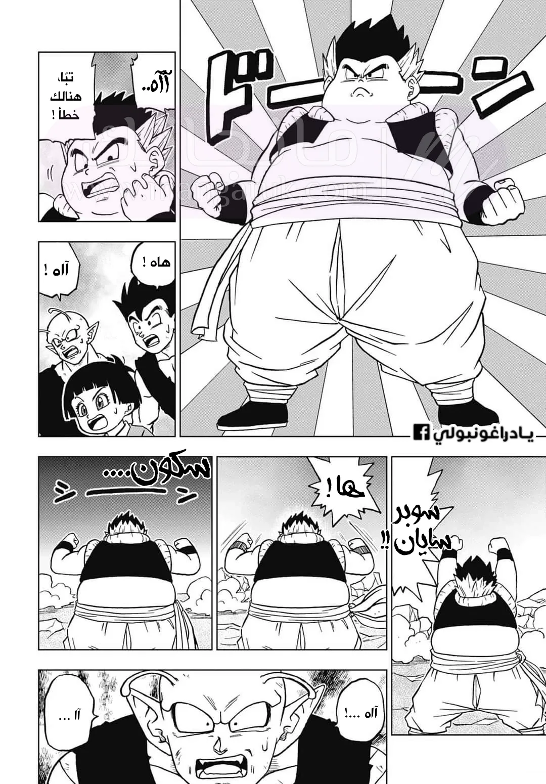 الصفحة 24