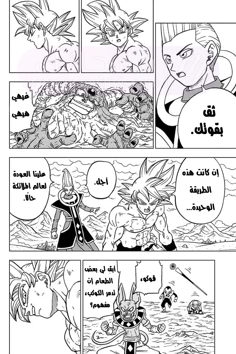 الصفحة 11