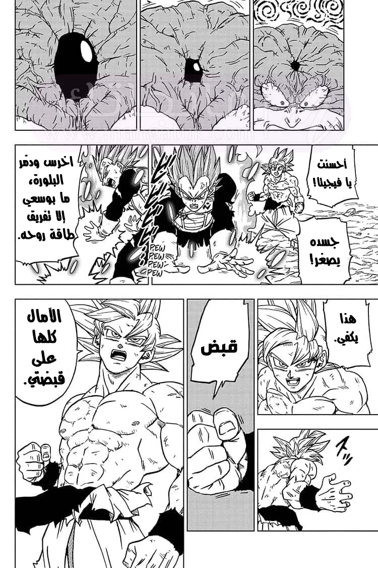 الصفحة 15