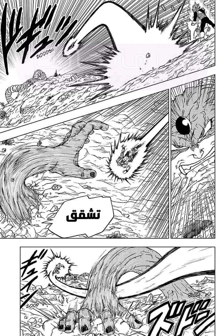 الصفحة 16