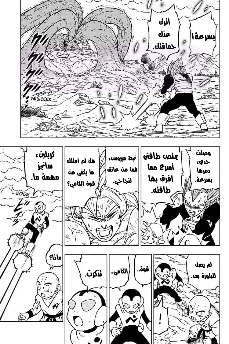 الصفحة 20