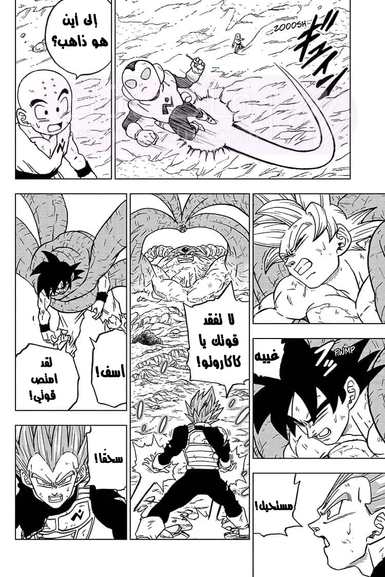 الصفحة 21