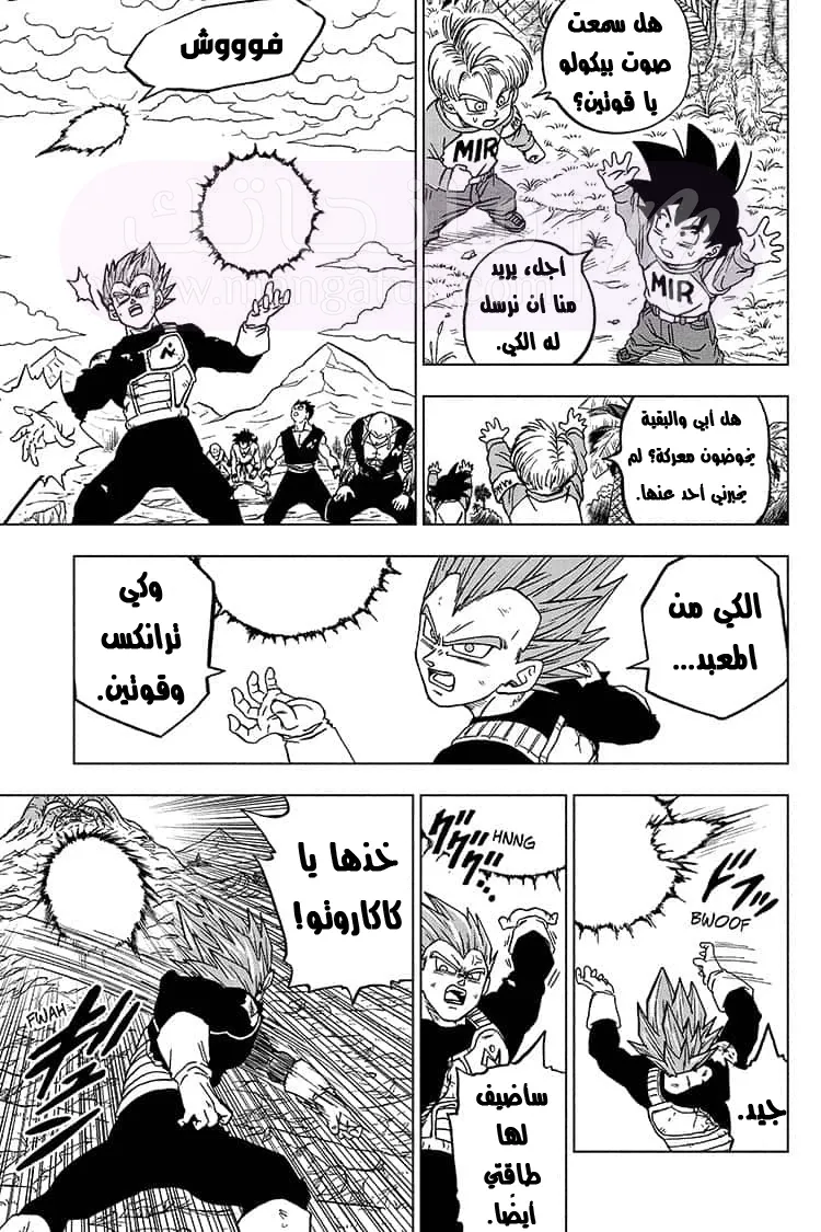 الصفحة 24