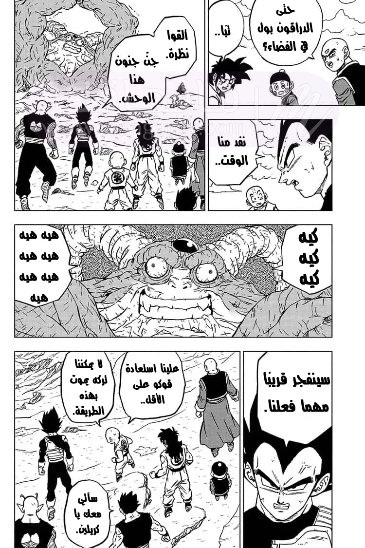 الصفحة 29