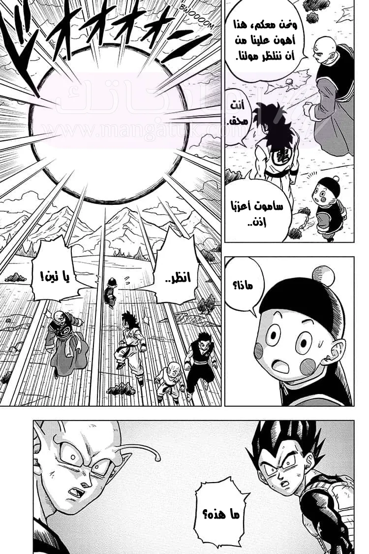 الصفحة 30