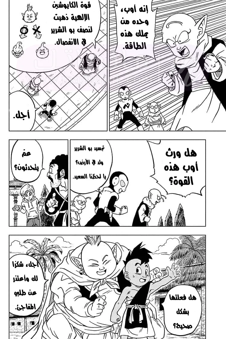 الصفحة 33