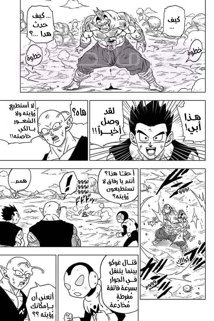 الصفحة 19