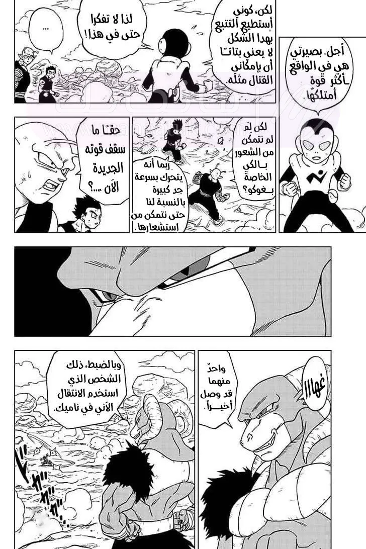 الصفحة 20