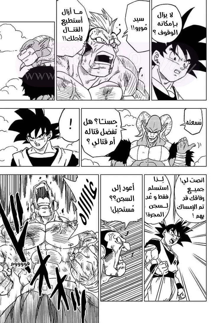 الصفحة 25