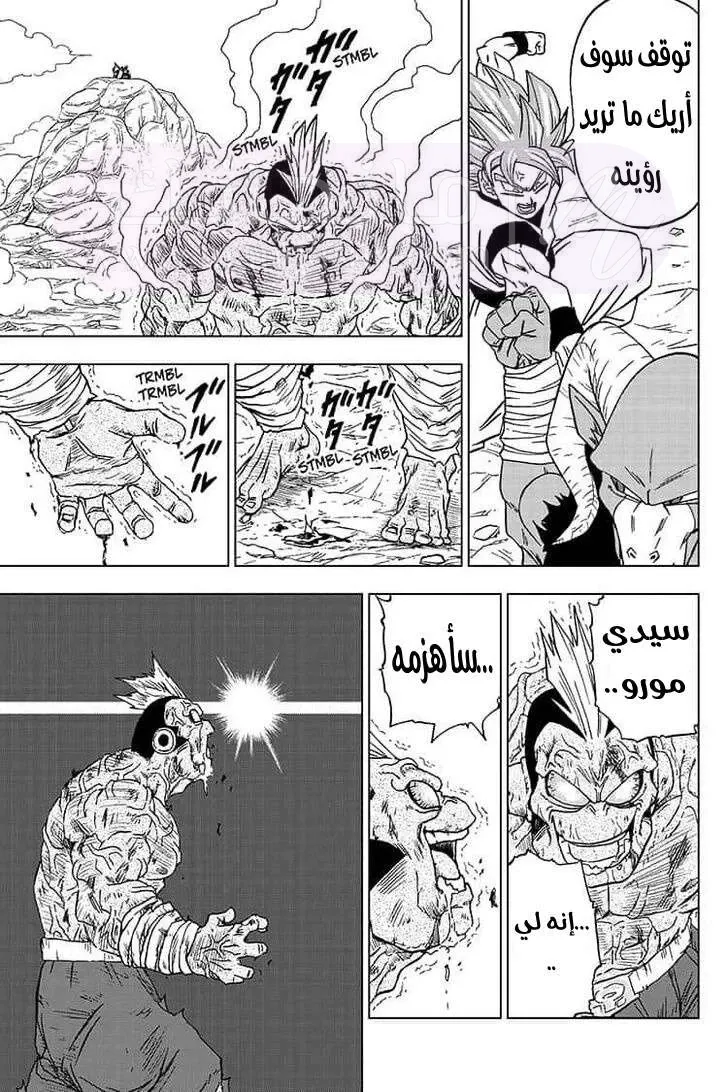 الصفحة 41