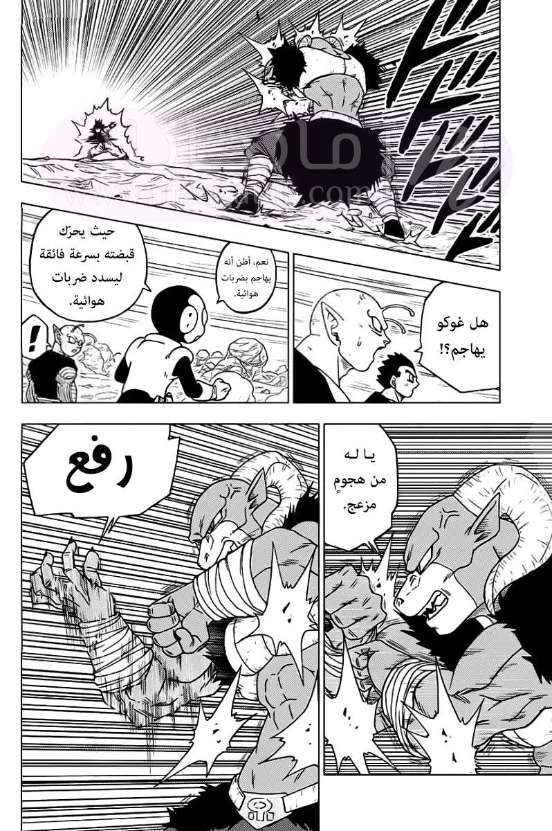 الصفحة 7