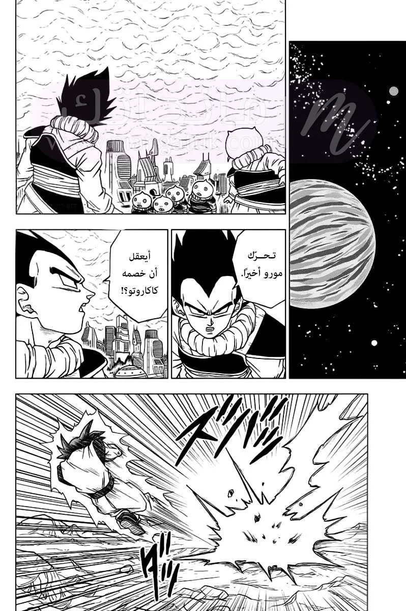 الصفحة 15