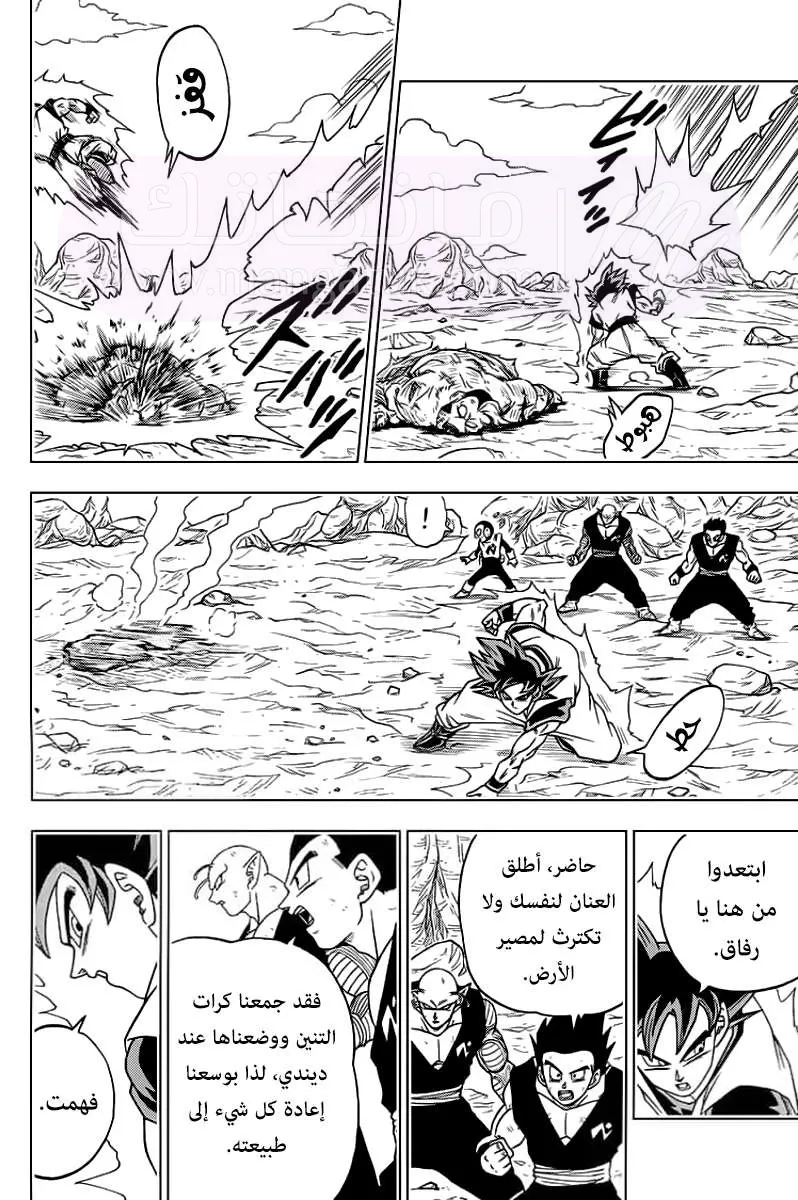 الصفحة 17