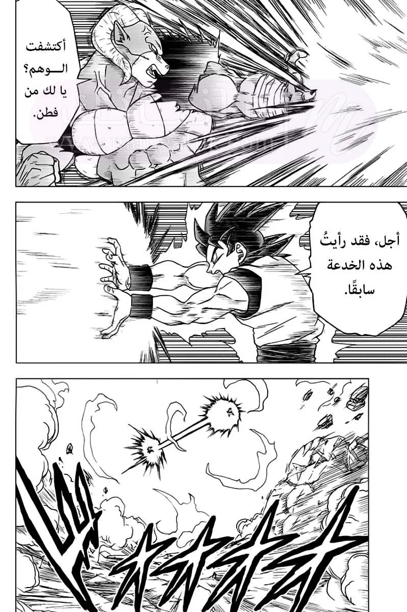 الصفحة 21
