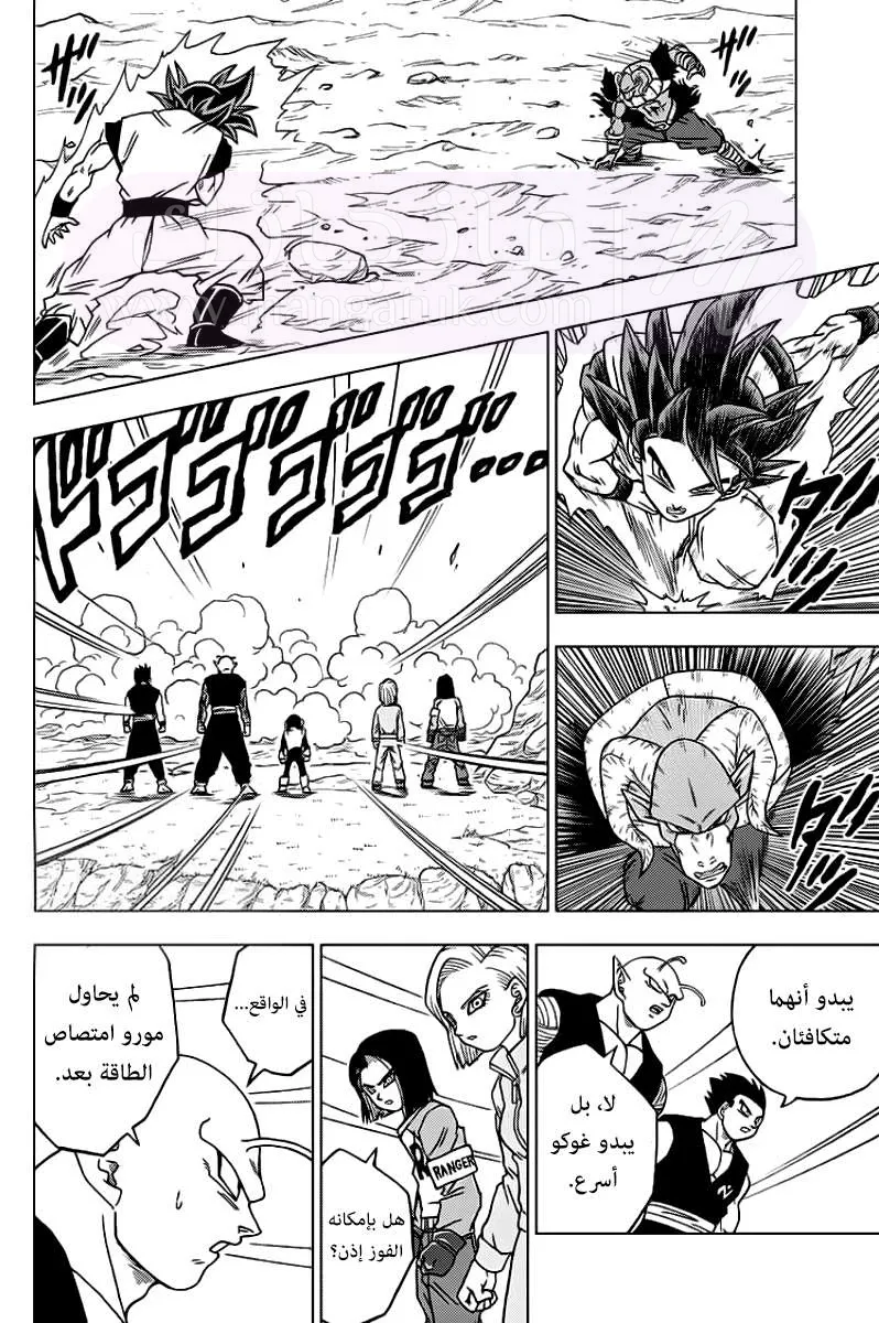 الصفحة 29