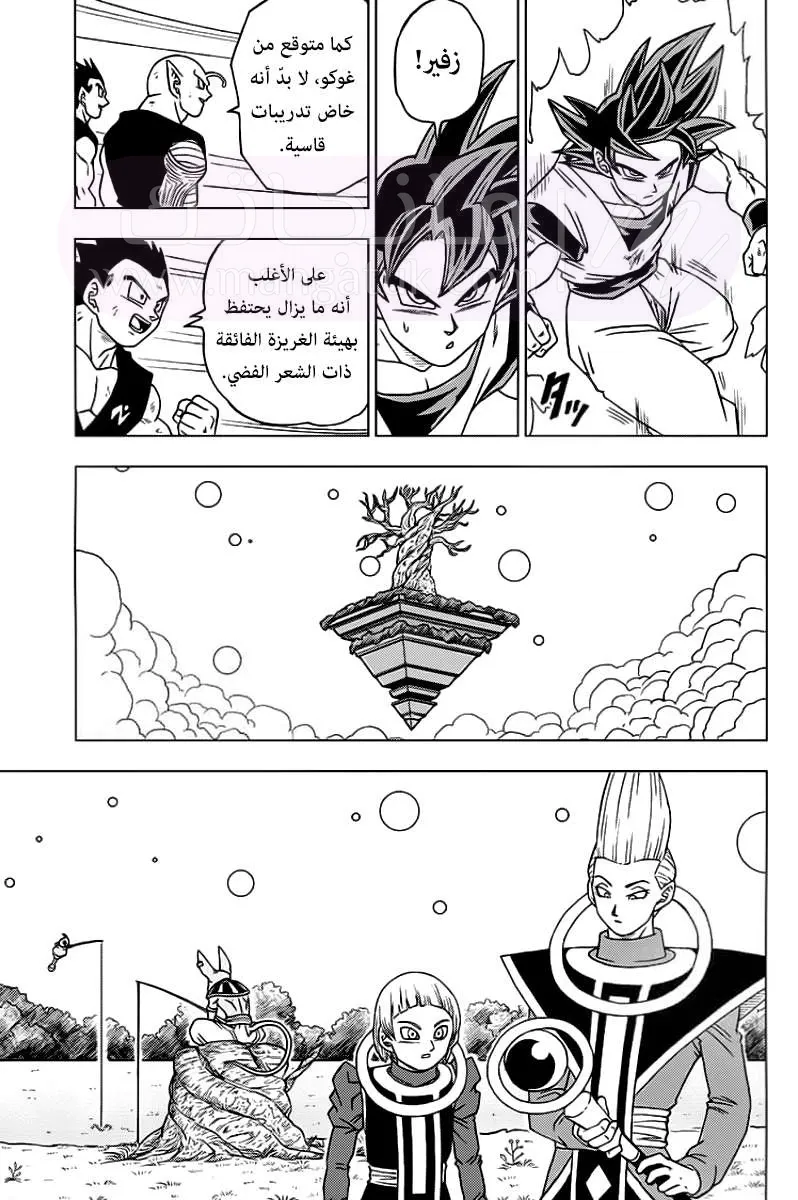 الصفحة 36