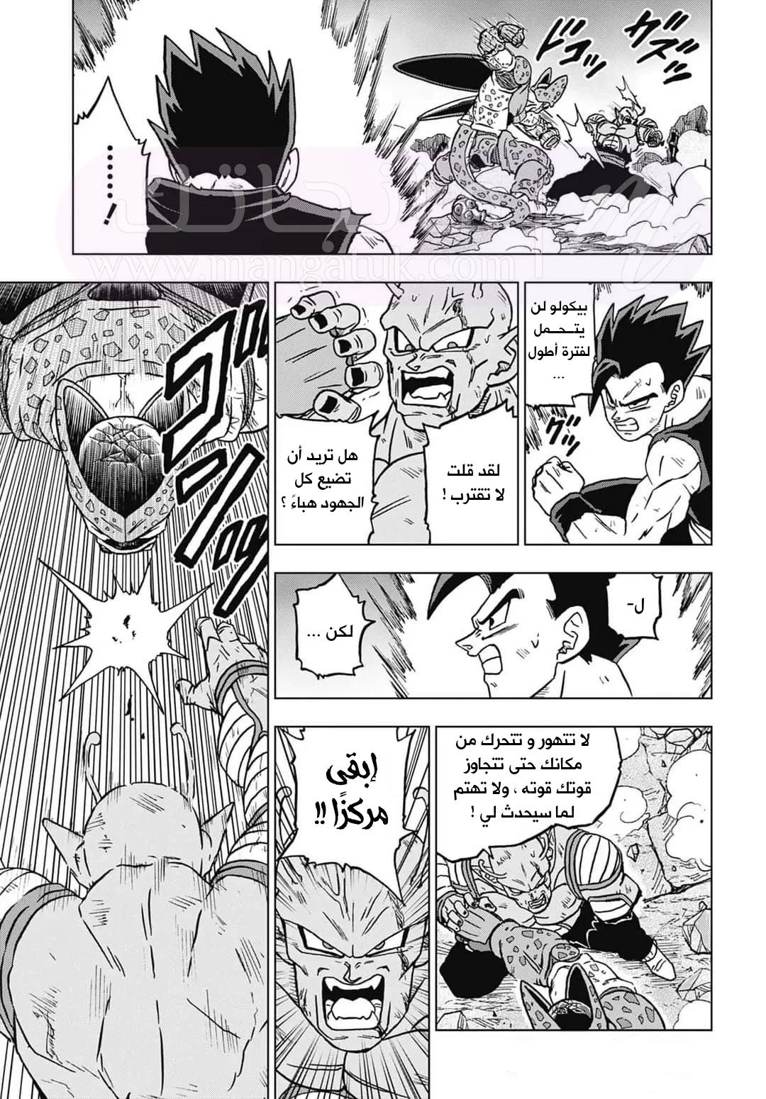 الصفحة 17