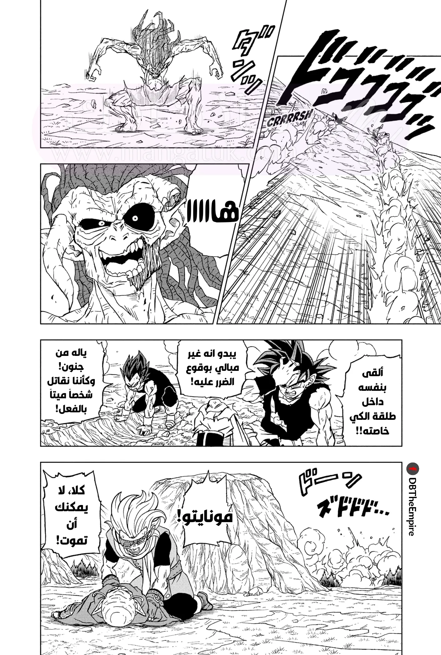 الصفحة 16