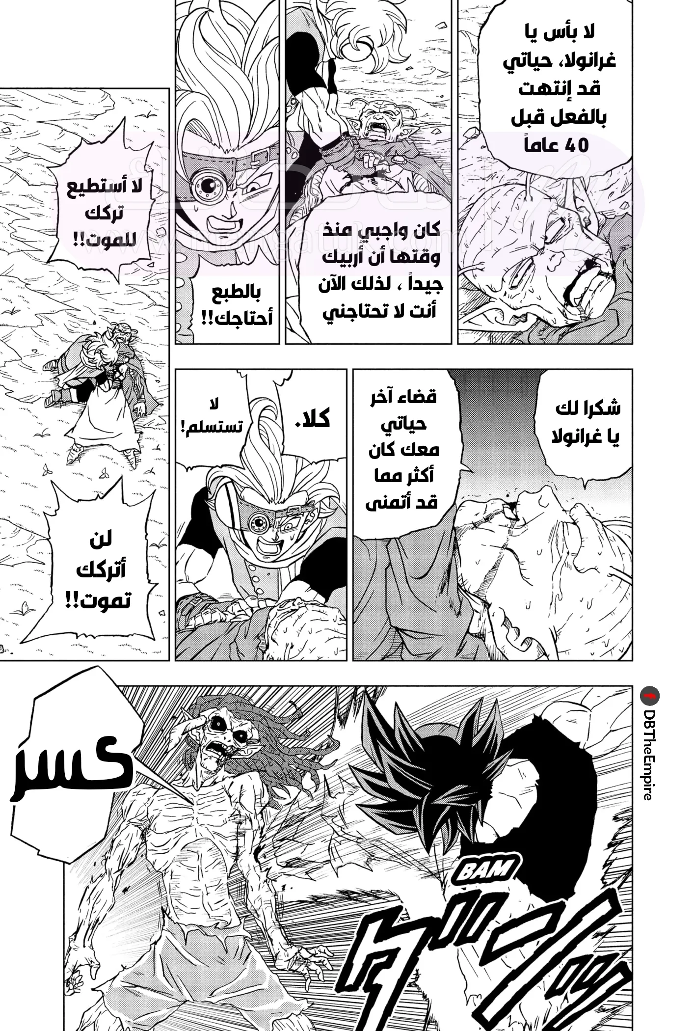 الصفحة 17