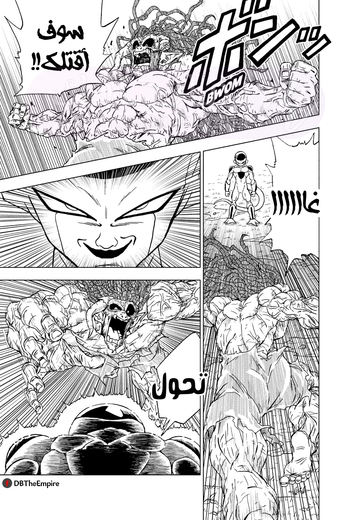 الصفحة 25