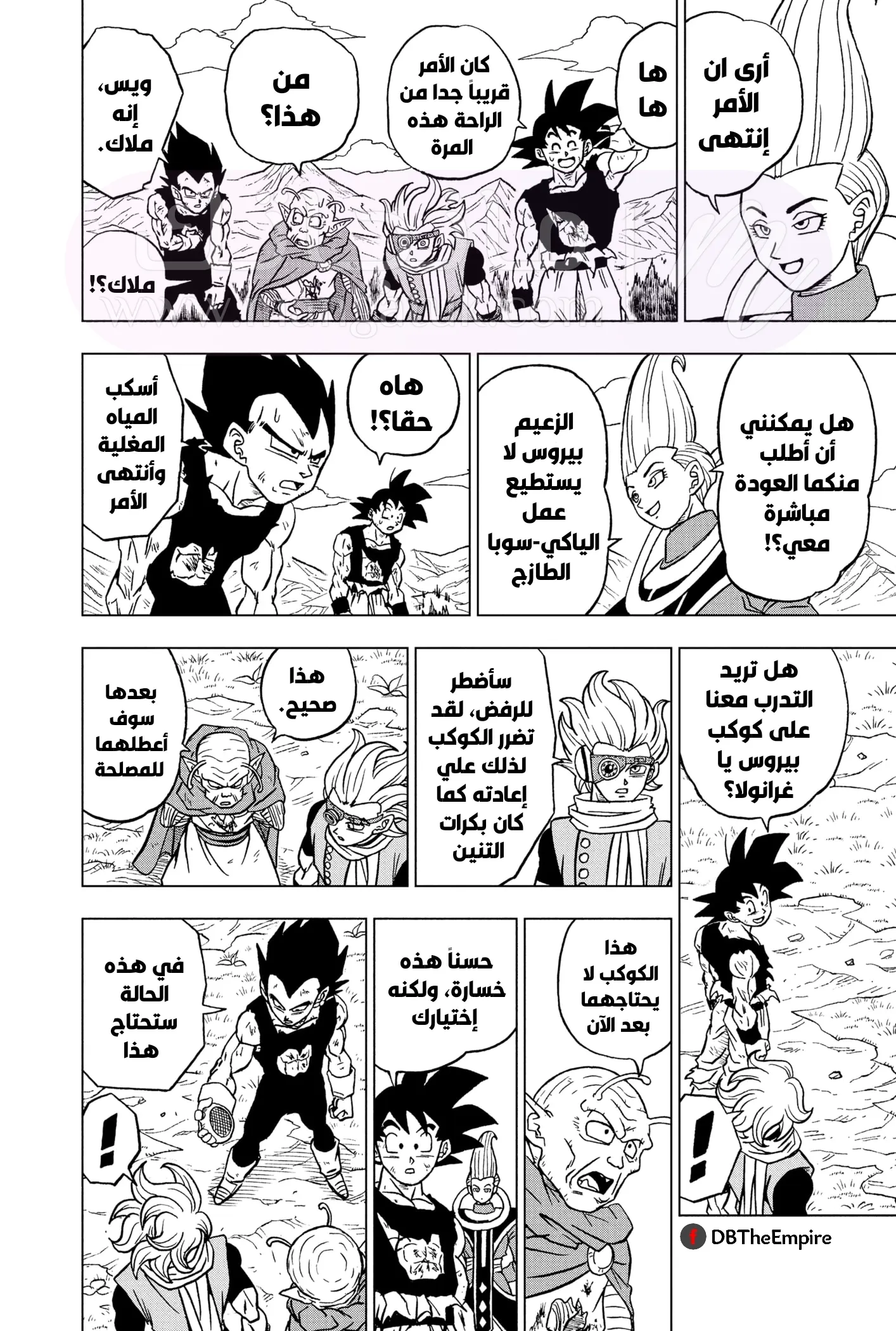 الصفحة 43