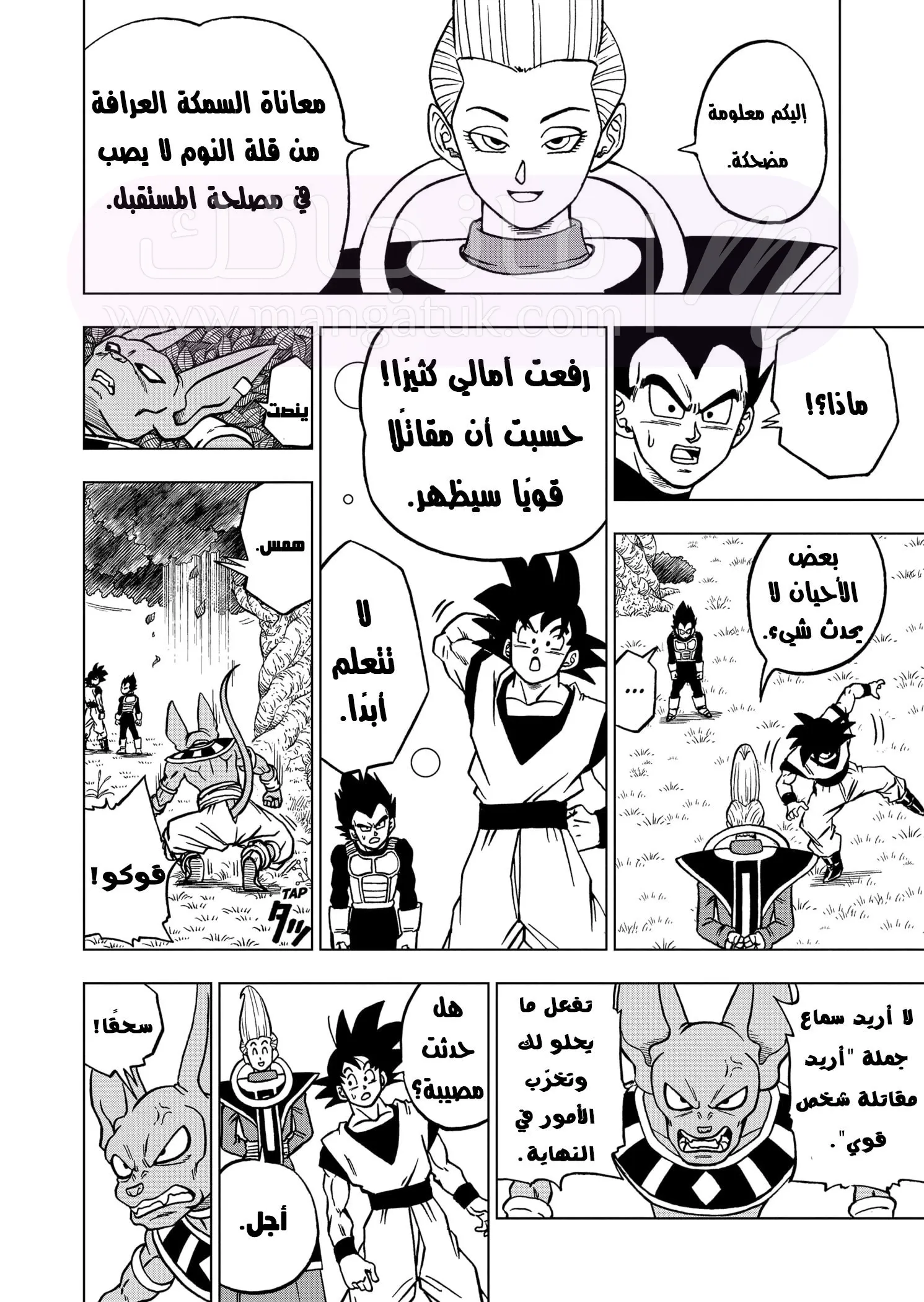 الصفحة 11