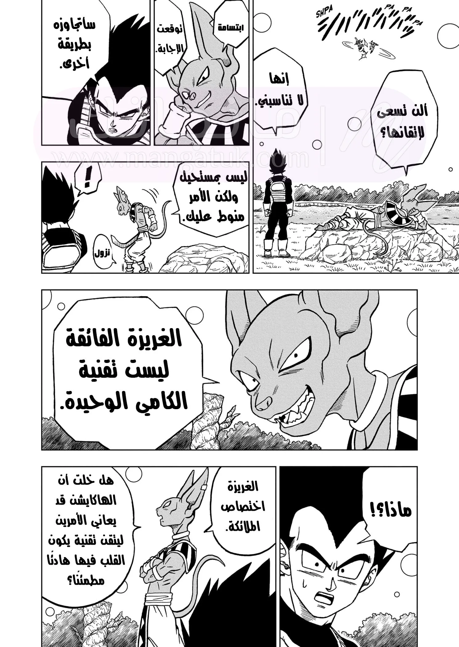 الصفحة 21