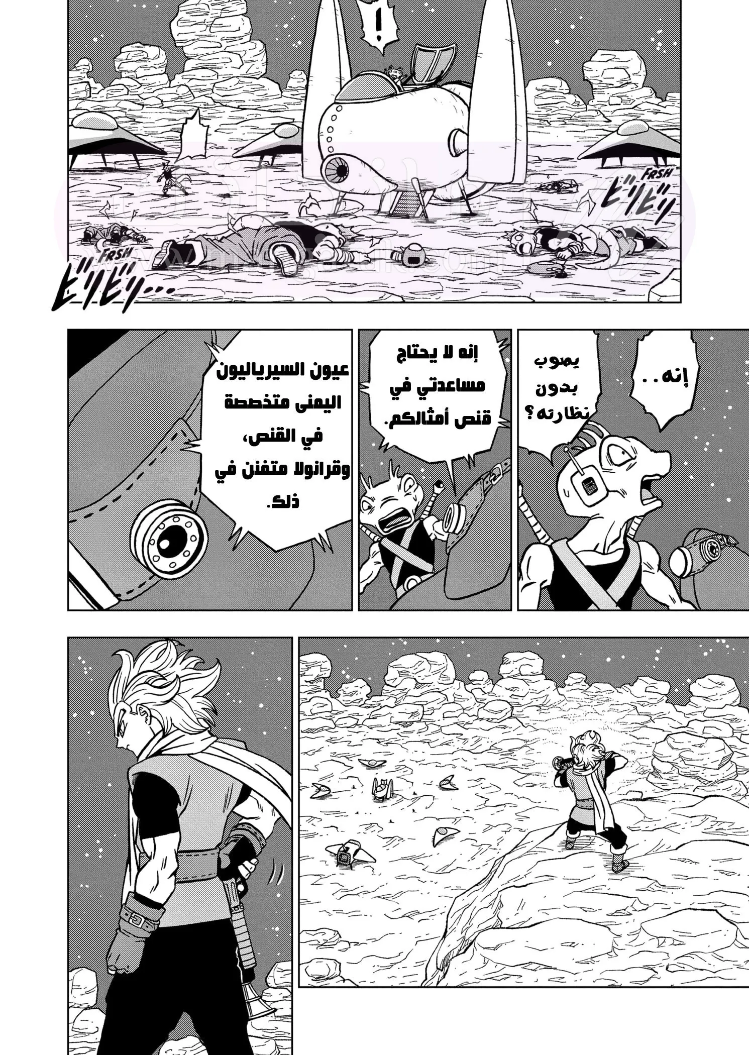 الصفحة 43