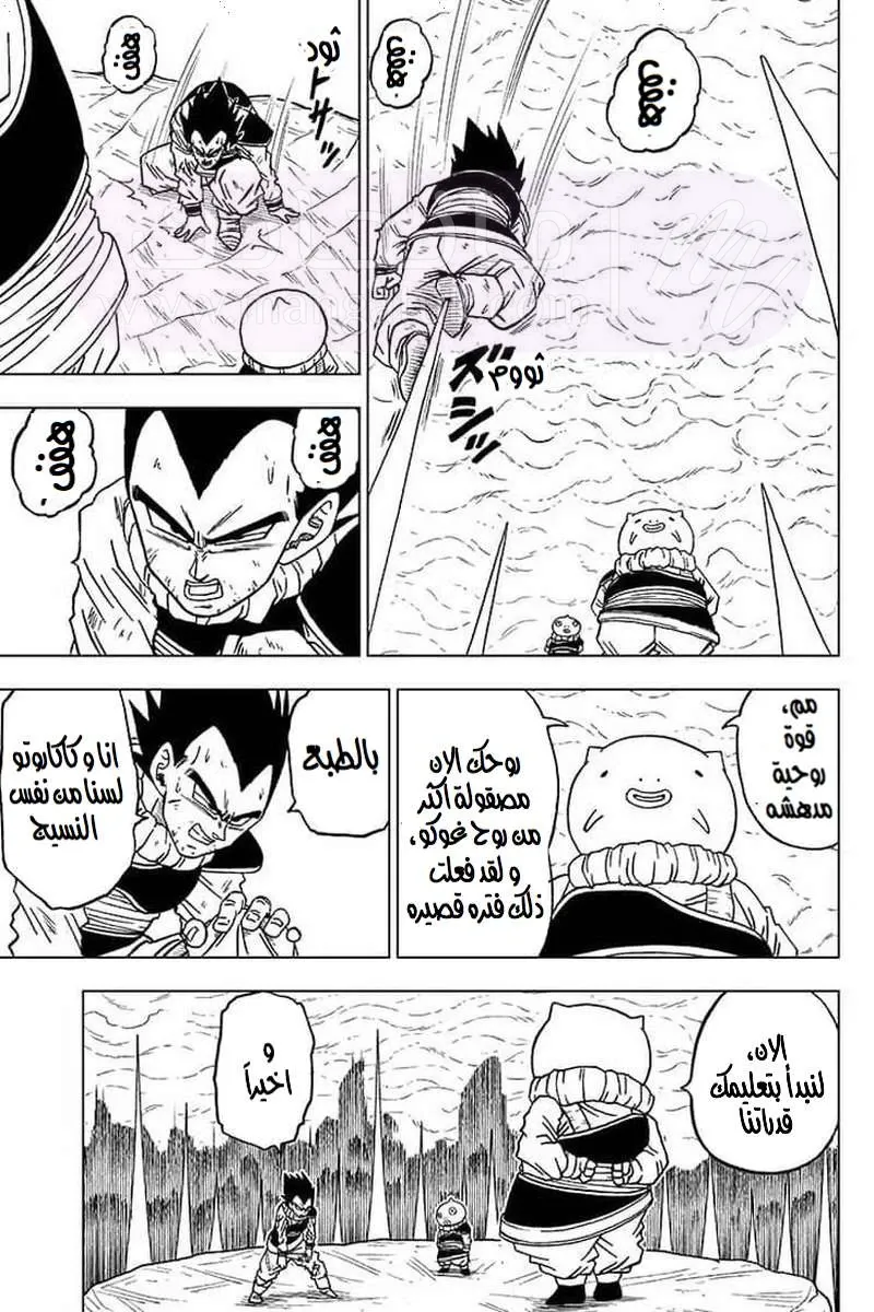 الصفحة 8