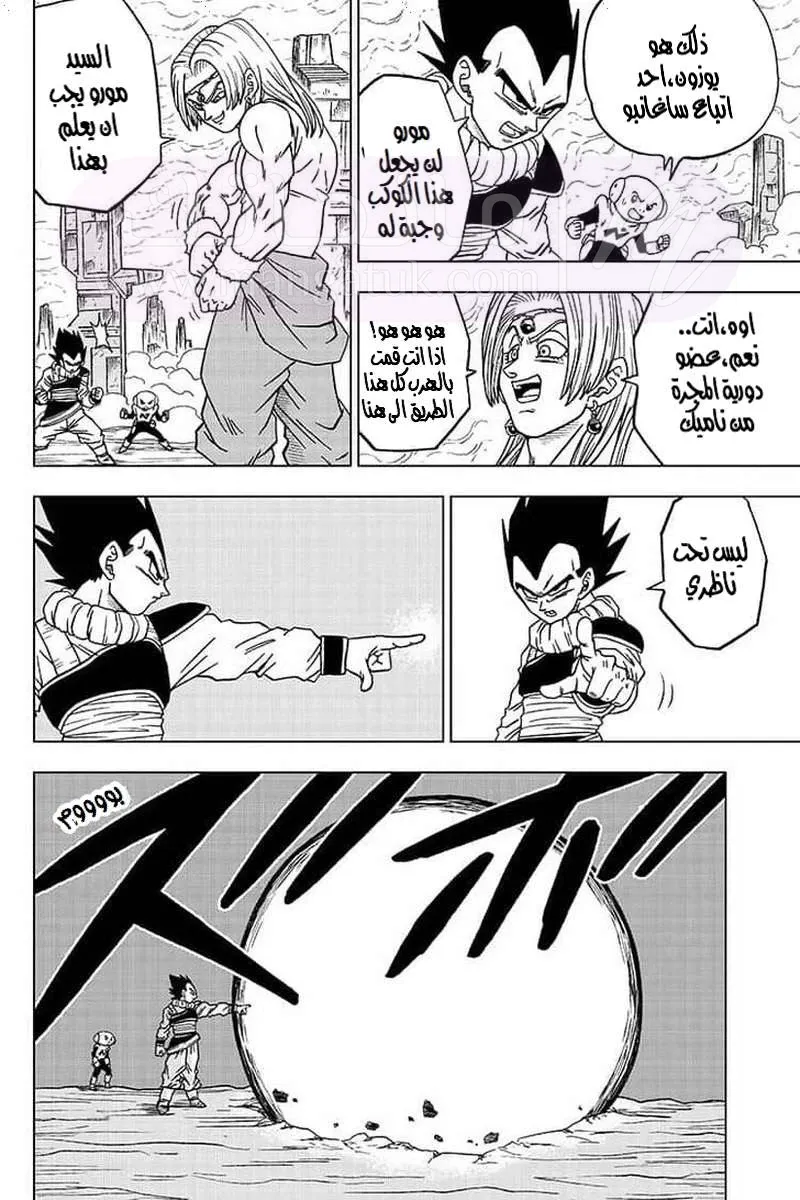 الصفحة 13