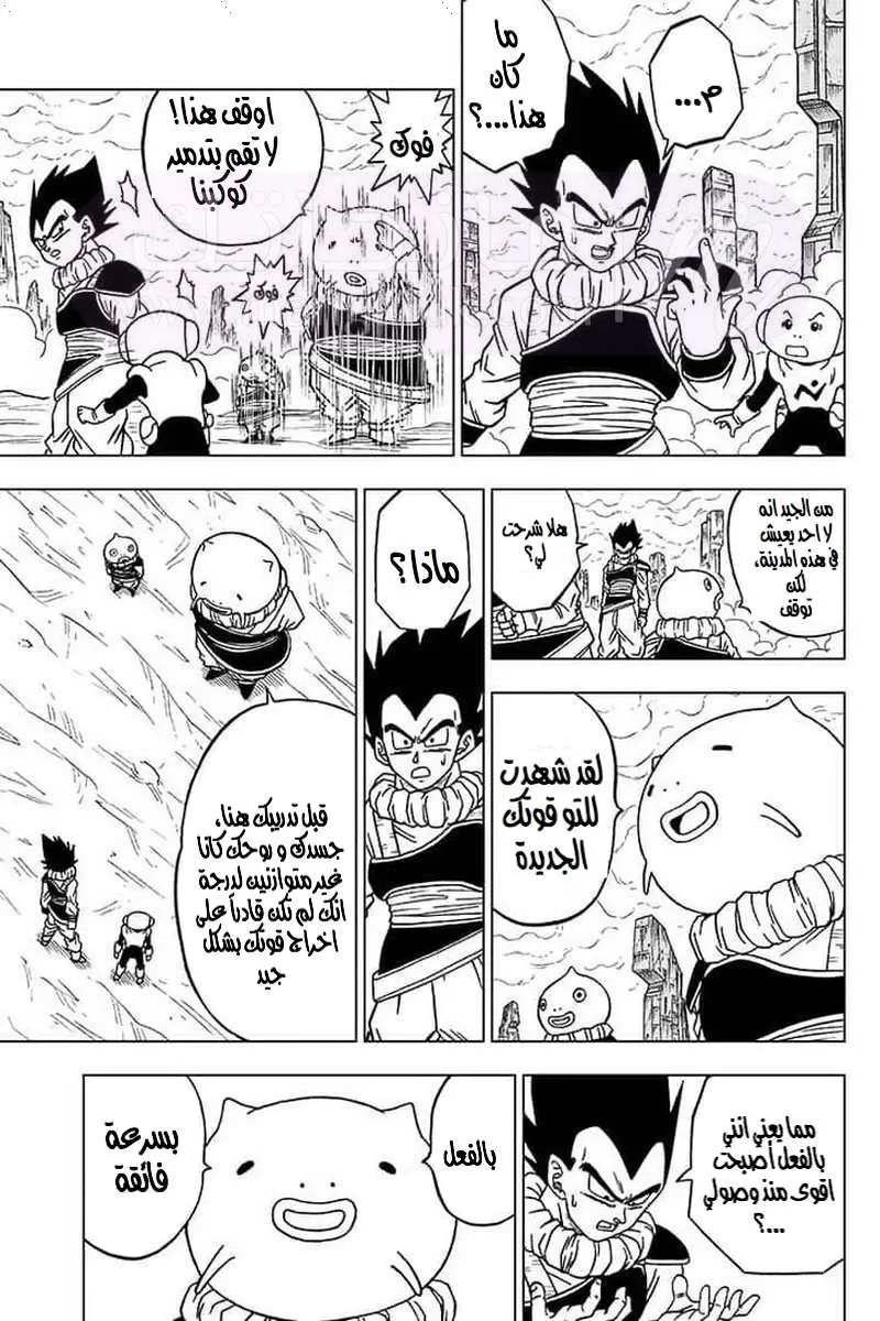 الصفحة 16