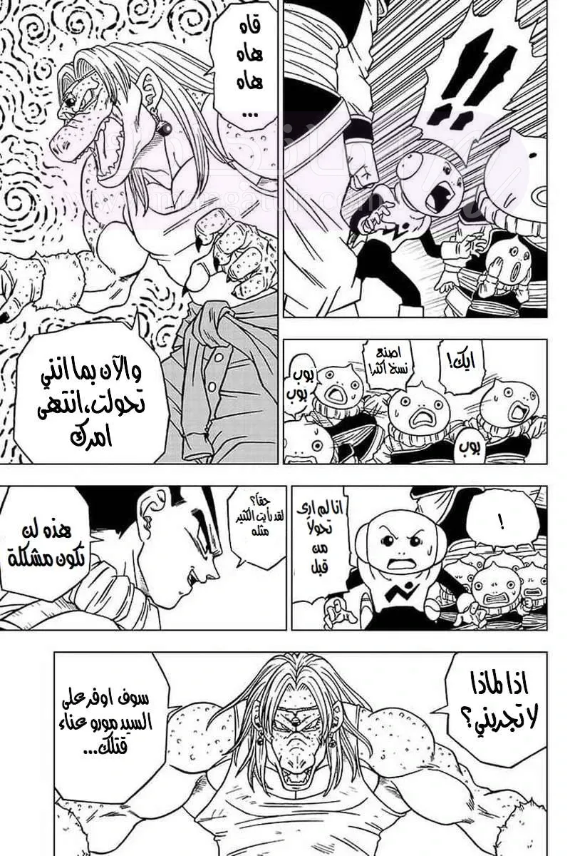 الصفحة 20