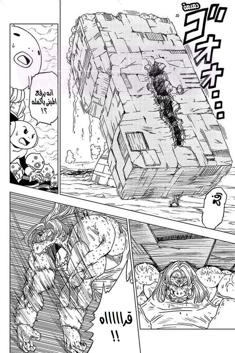 الصفحة 25