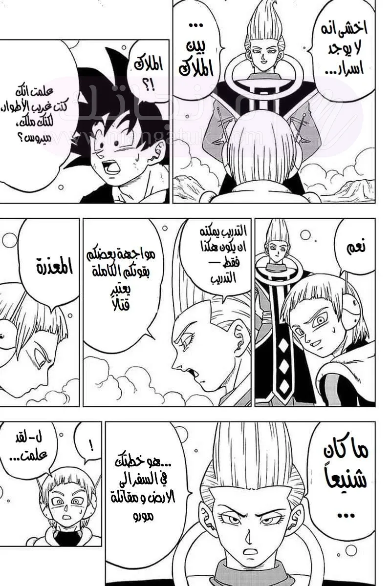 الصفحة 41