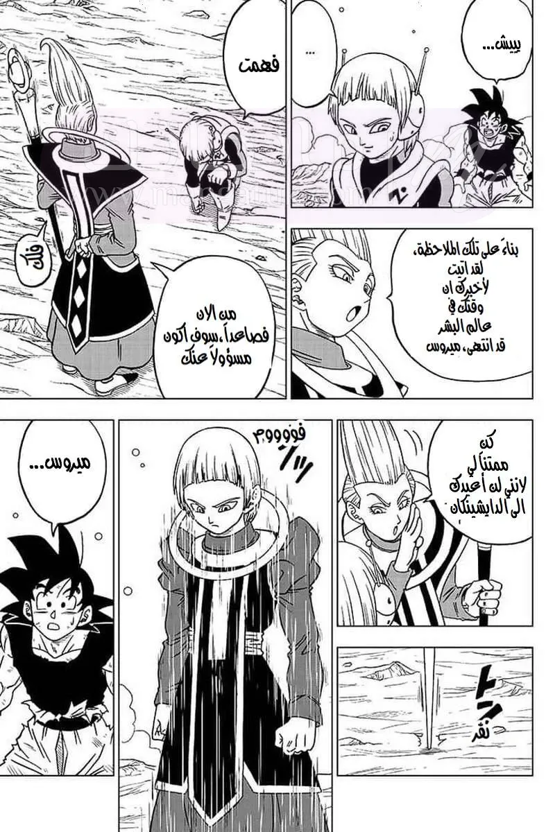 الصفحة 43