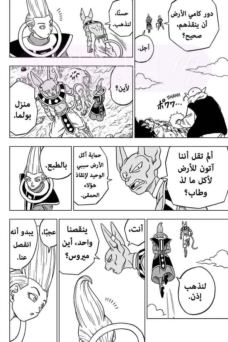 الصفحة 12