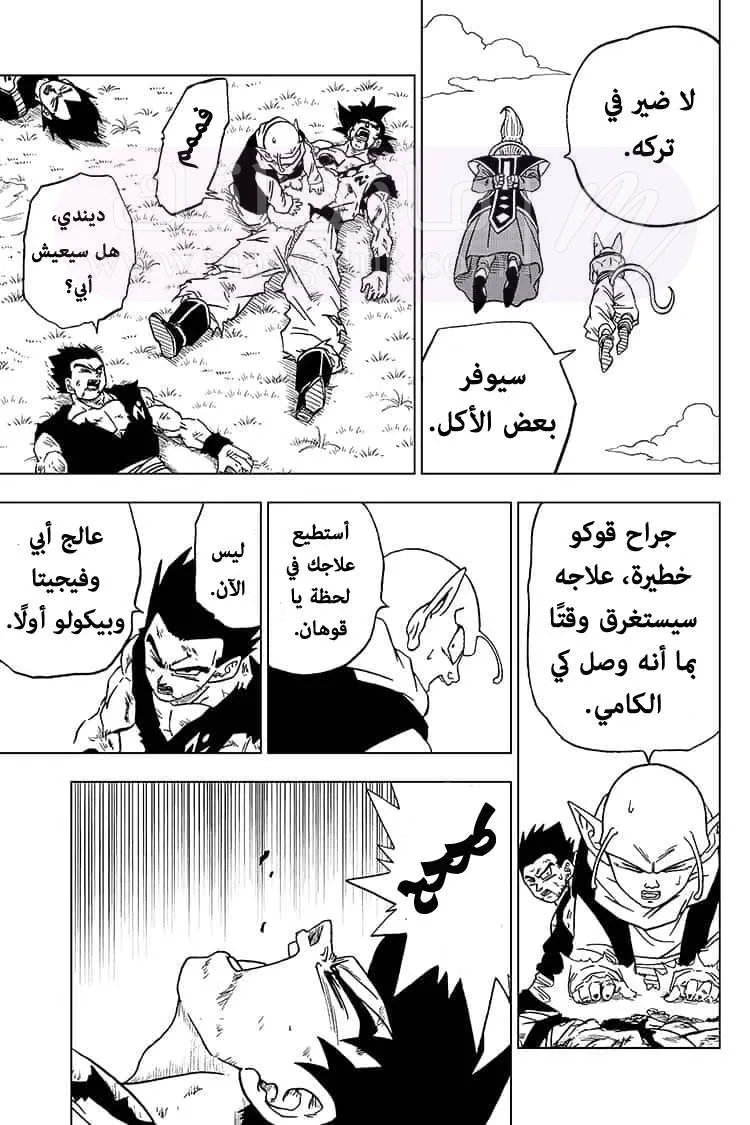 الصفحة 13