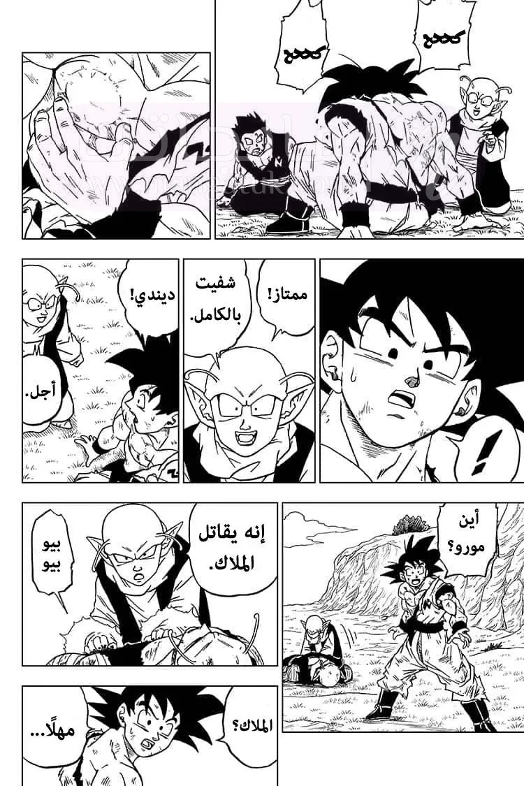 الصفحة 14