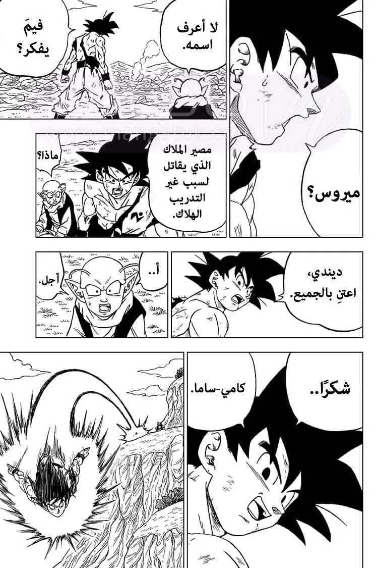 الصفحة 15