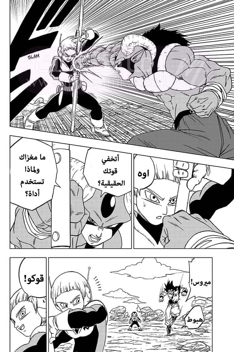 الصفحة 20