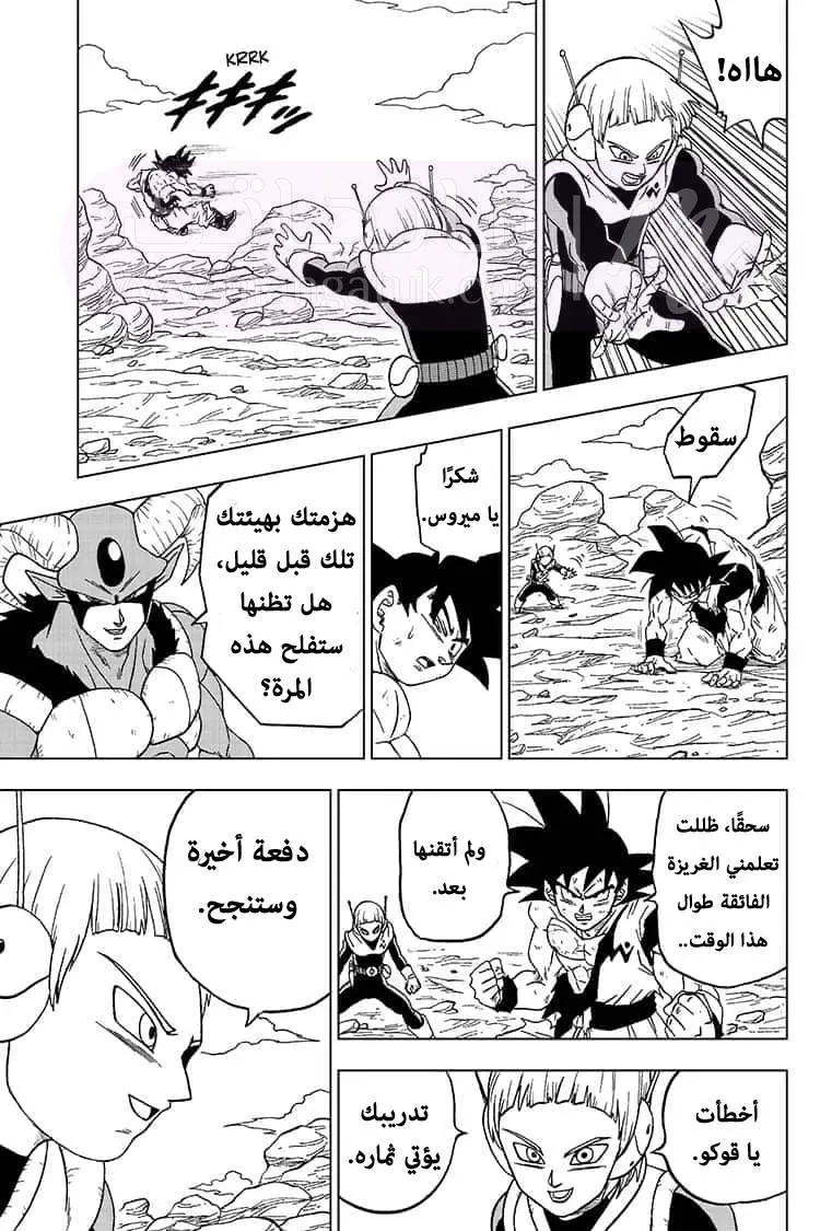 الصفحة 25