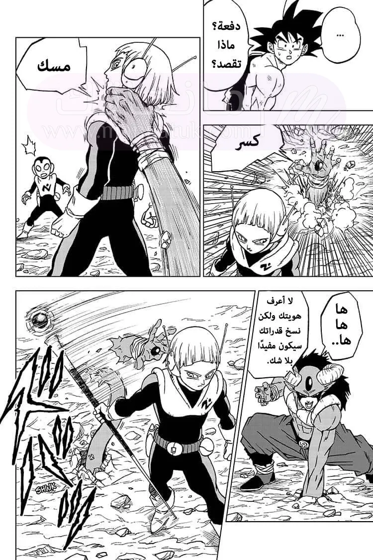 الصفحة 26