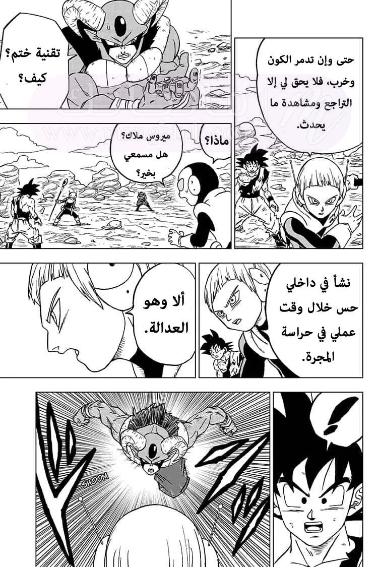 الصفحة 31