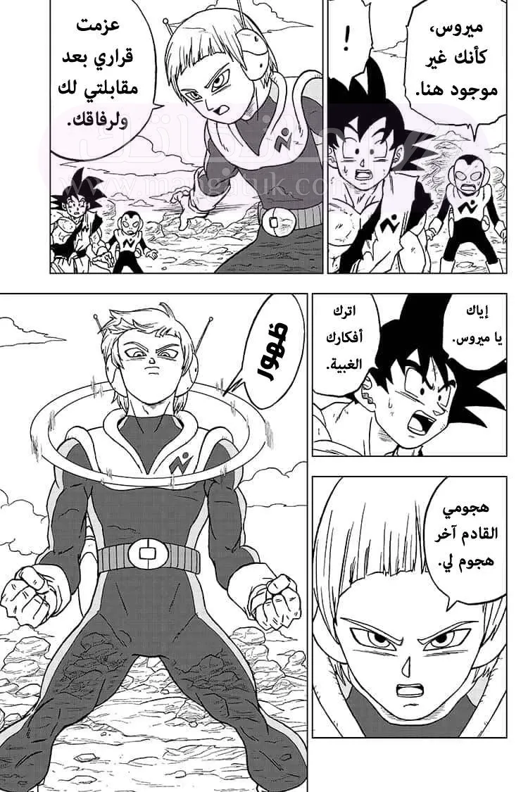 الصفحة 35