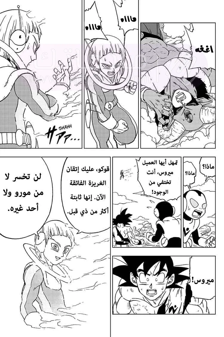 الصفحة 43