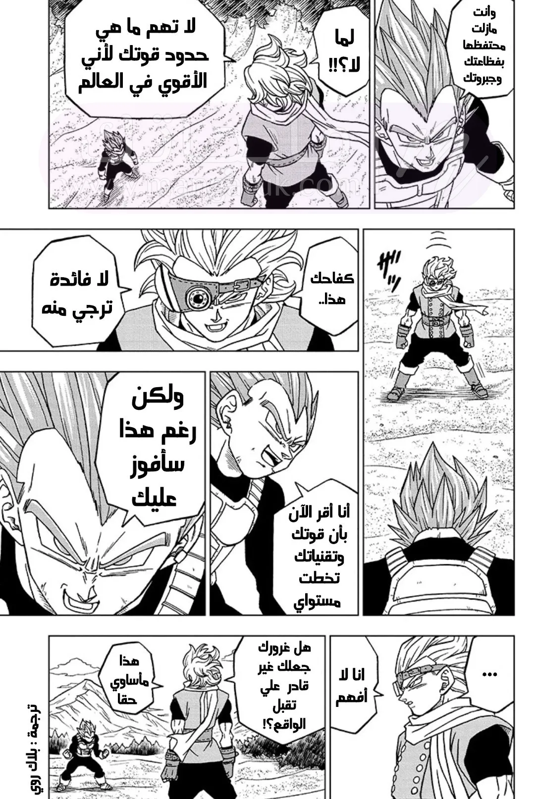 الصفحة 25