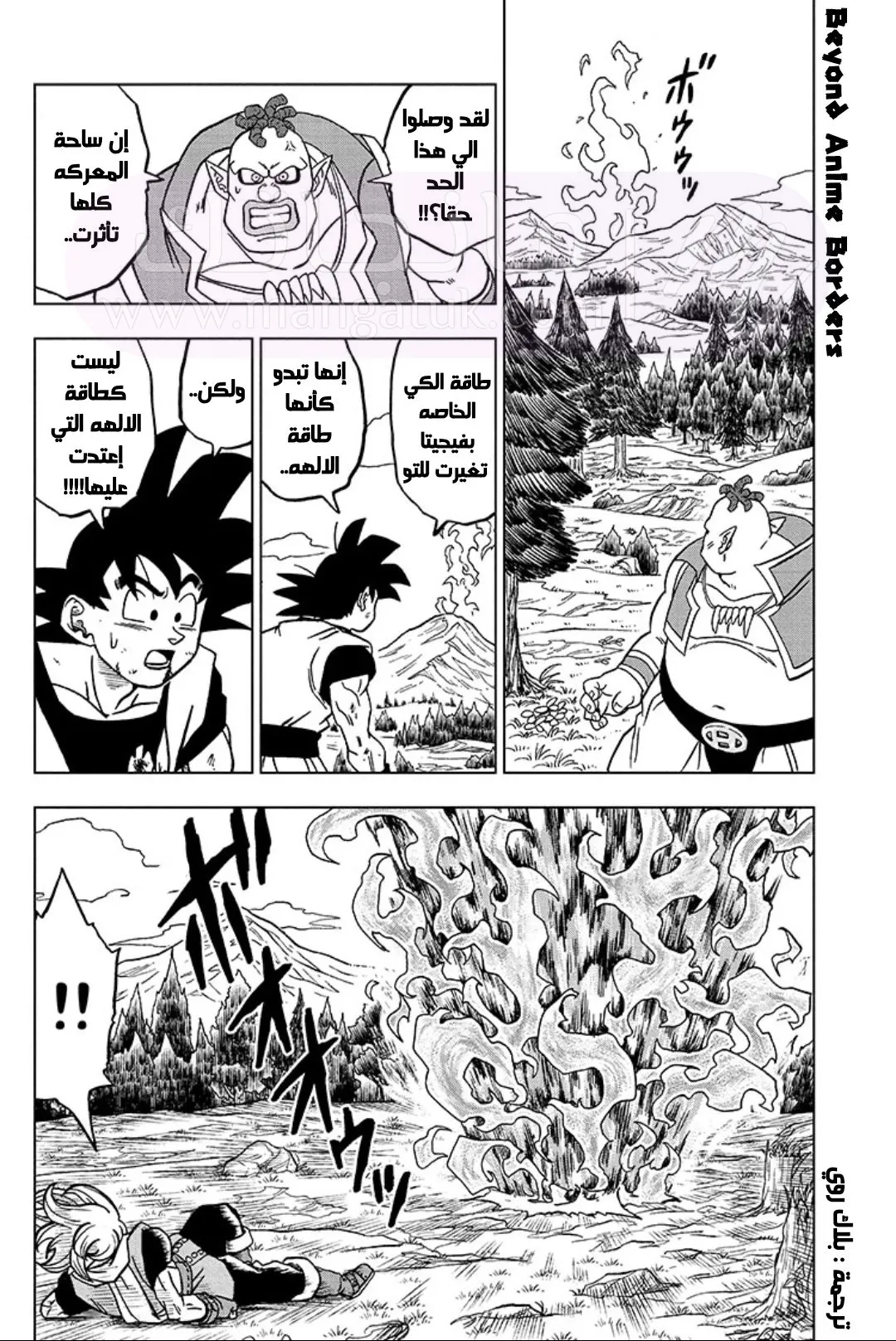 الصفحة 43